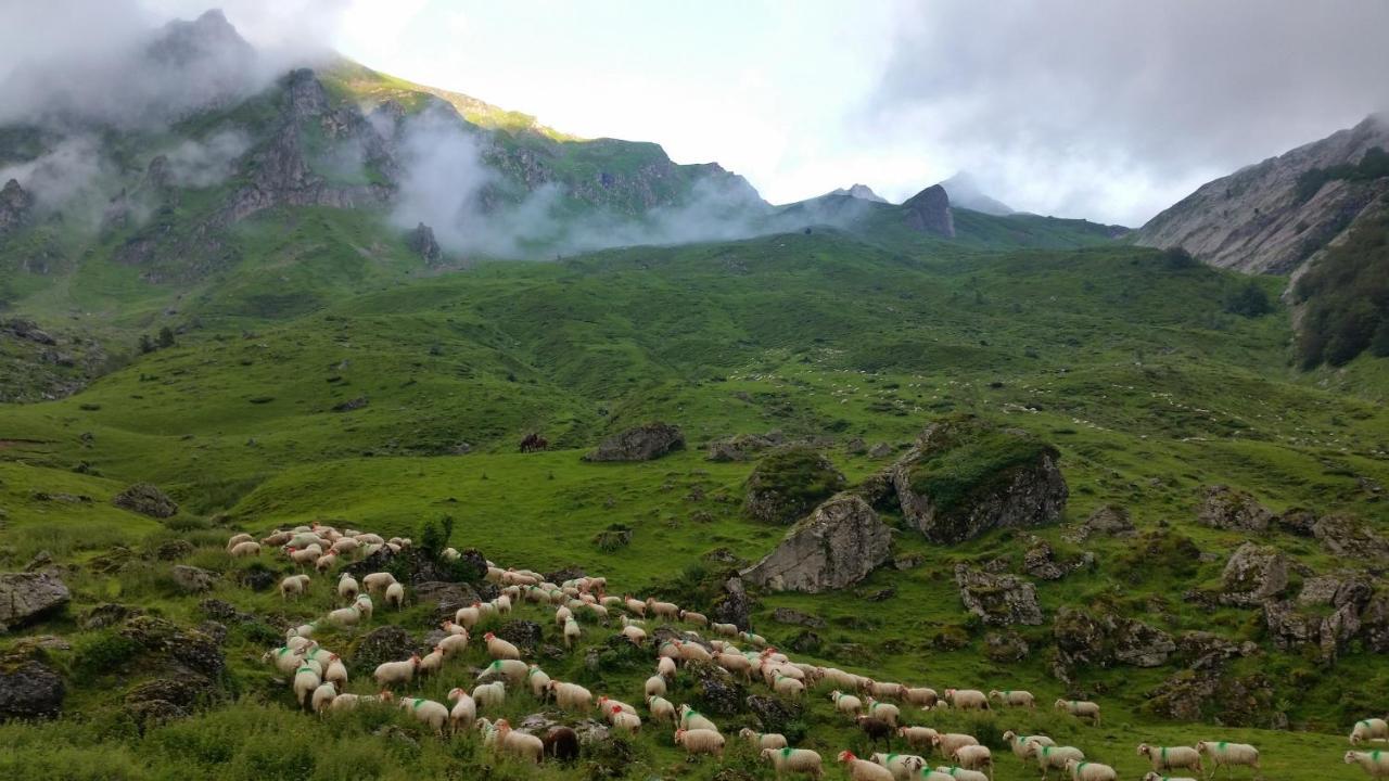 Gite De Montagne Du Plateau De Lhers- Accueil Randonneurs Accous Екстериор снимка