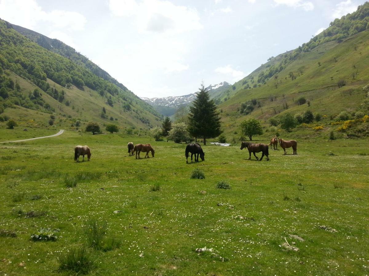 Gite De Montagne Du Plateau De Lhers- Accueil Randonneurs Accous Екстериор снимка