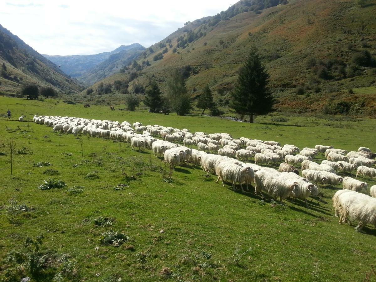Gite De Montagne Du Plateau De Lhers- Accueil Randonneurs Accous Екстериор снимка