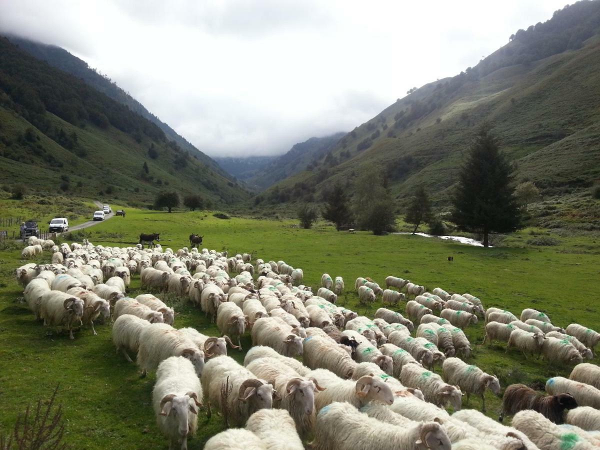 Gite De Montagne Du Plateau De Lhers- Accueil Randonneurs Accous Екстериор снимка