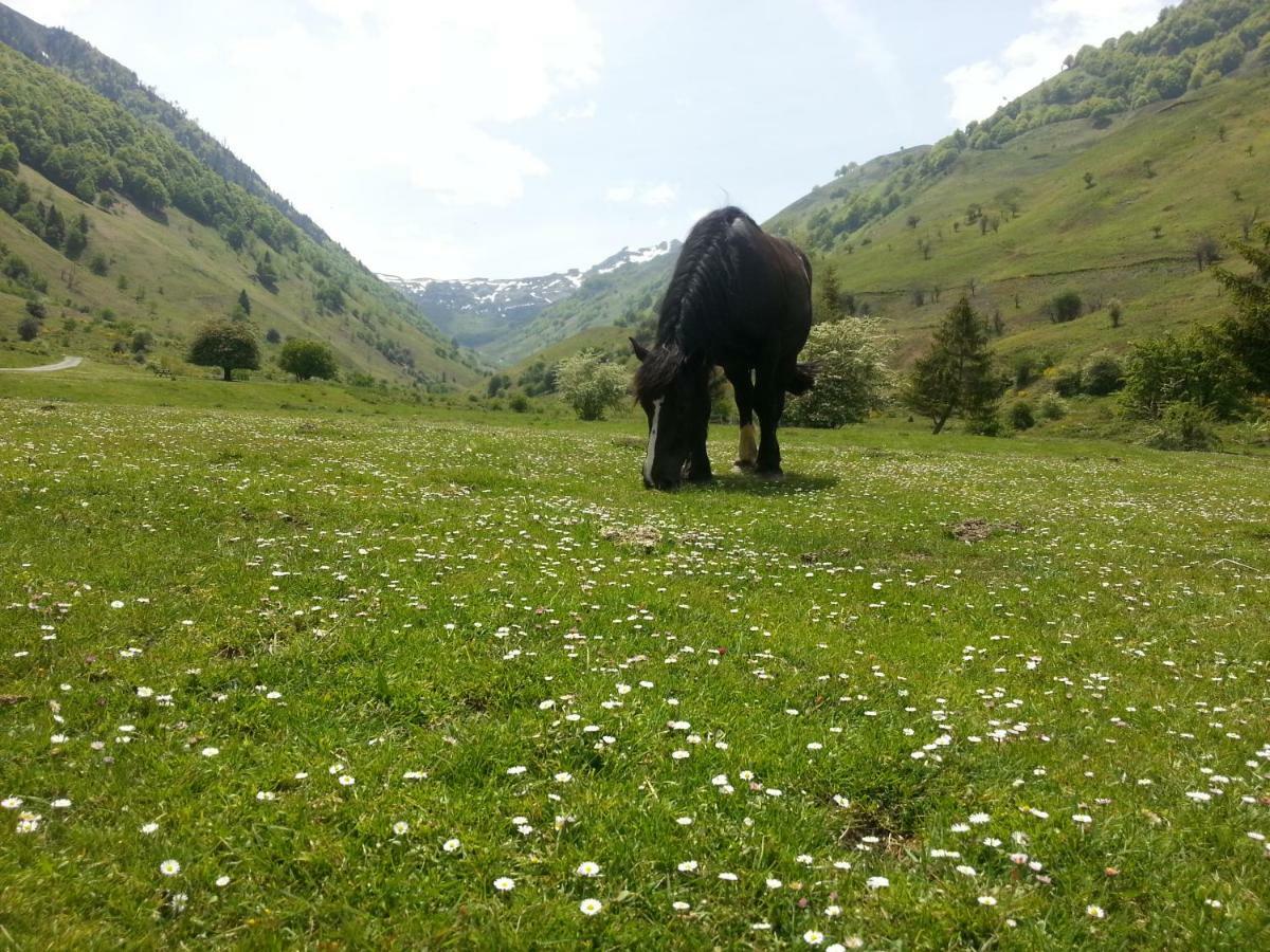 Gite De Montagne Du Plateau De Lhers- Accueil Randonneurs Accous Екстериор снимка